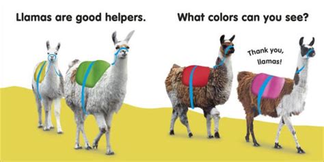 Feeling llama-tose intolerant? It's time to embrace the llama-licious life!